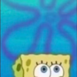 Meet your Posher, Alejandra